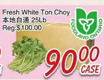 Foody Mart Fresh White Ton Choy offer
