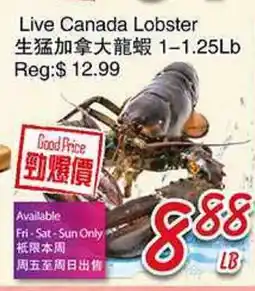 Foody Mart Live Canada Lobster offer