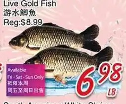 Foody Mart LIVE GOLD FISH offer
