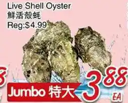 Foody Mart Live Shell Oyster offer