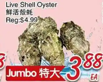 Foody Mart Live Shell Oyster offer