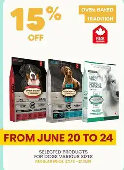 Chico SELECTED PRODUCTS FOR DOGS offer