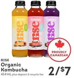 IGA Rise organic kombucha offer