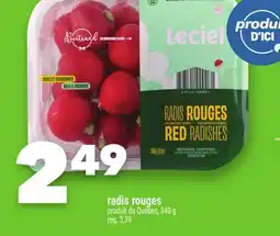 Marche Ami RADIS ROUGES offer