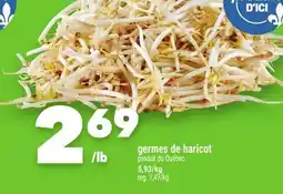 Marche Ami GERMES DE HARICOT offer