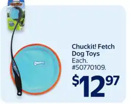 Walmart Chuckit! Fetch Dog Toys offer