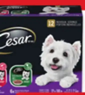 Walmart Cesar Wet Dog Food Variety Pack offer