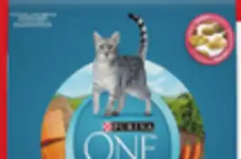 Walmart Purina ONE Dry Cat Food offer