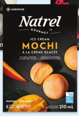 Walmart Natrel Ice Cream Mochi offer