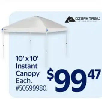Walmart 10' x 10' Instant Canopy offer