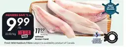 Sobeys Fresh Wild Haddock Fillets offer