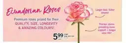 Fortinos SINGLE LONG STEM ROSE, 60 CM offer