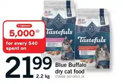 Fortinos BLUE BUFFALO DRY CAT FOOD, 2.2 KG offer