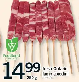 Fortinos FRESH ONTARIO LAMB SPIEDINI, 250 G offer