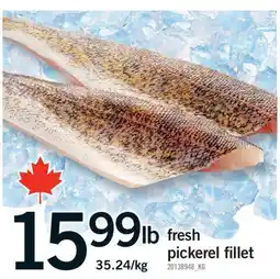 Fortinos FRESH PICKEREL FILLET offer