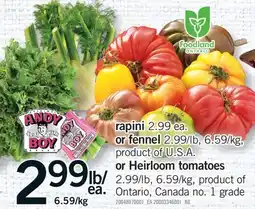 Fortinos RAPINI OR FENNEL OR HEIRLOOM TOMATOES offer