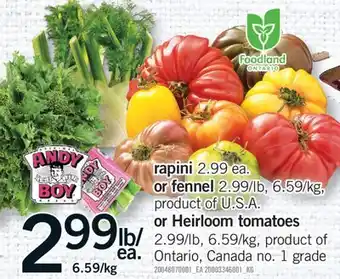 Fortinos RAPINI OR FENNEL OR HEIRLOOM TOMATOES offer