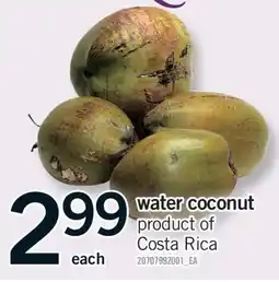 Fortinos WATER COCONUT offer