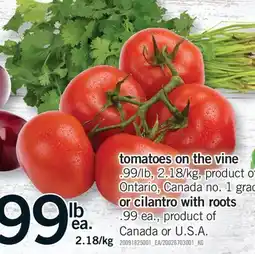 Fortinos TOMATOES ON THE VINE OR CILANTRO WITH ROOTS offer