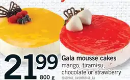 Fortinos GALA MOUSSE CAKES MANGO, TIRAMISU, CHOCOLATE OR STRAWBERRY, 800 G offer