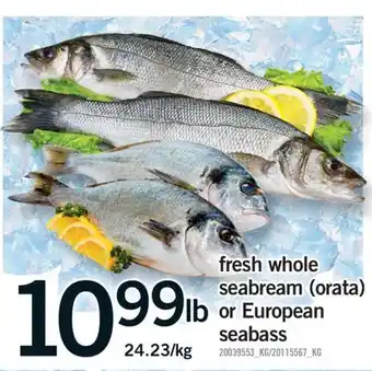 Fortinos FRESH WHOLE SEABREAM (ORATA) OR EUROPEAN SEABASS offer