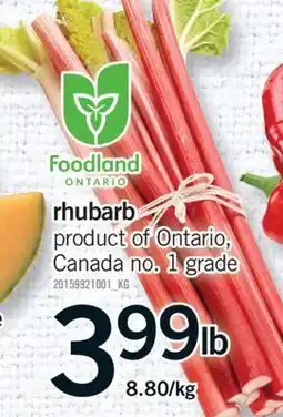 Fortinos RHUBARB, 8.80/KG offer