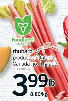 Fortinos RHUBARB, 8.80/KG offer