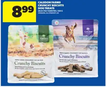 Real Canadian Superstore CALEDON FARMS CRUNCHY BISCUITS DOG TREATS, 550 G offer