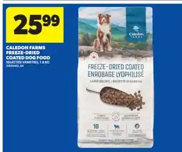 Real Canadian Superstore CALEDON FARMS FREEZE-DRIED COATED DOG FOOD, 1.8 KG offer