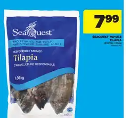 Real Canadian Superstore SEAQUEST WHOLE TILAPIA, 1.36 KG offer