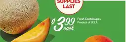 Longo's Fresh Cantaloupes offer