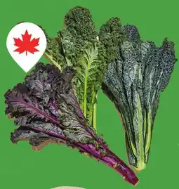 Longo's Fresh Organic Green, Black or Red Kale offer