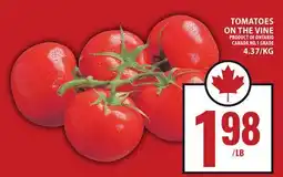 Food Basics TOMATOES ON THE VINE offer