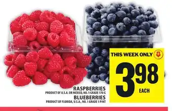 Food Basics RASPBERRIES OR BLUEBERRIES offer