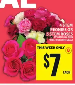 Food Basics 4 STEM PEONIES OR 5 STEM ROSES offer