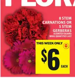Food Basics 8 STEM CARNATIONS OR 5 STEM GERBERAS offer
