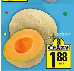 Food Basics CANTALOUPES offer