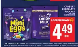 Food Basics CADBURY CHOCOLATE POUCHES offer