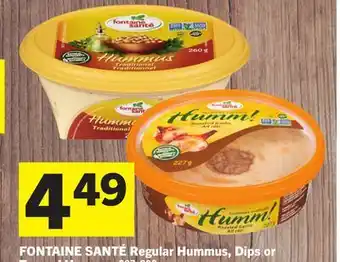 Foodland FONTAINE SANTÉ Regular Hummus, Dips or Topped Hummus offer