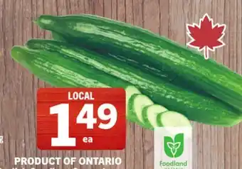 Foodland Long English Seedless Cucumbers offer