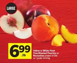 Foodland Yellow or White Flesh Tree-Ripened Peaches or Nectarines offer