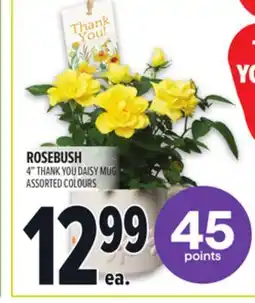 Metro DAISY MUG offer