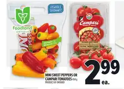 Metro MINI SWEET PEPPERS OR CAMPARI TOMATOES offer