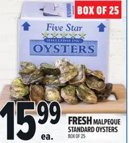 Metro FRESH MALPEQUE STANDARD OYSTERS offer
