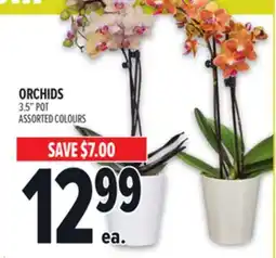 Metro ORCHIDS offer