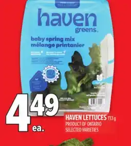 Metro HAVEN LETTUCES offer
