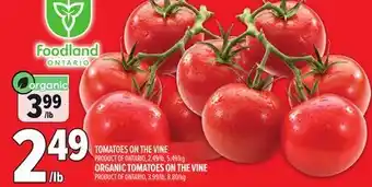 Metro TOMATOES ON THE VINE OR ORGANIC TOMATOES ON THE VINE offer