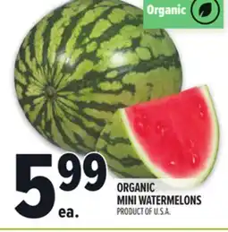 Metro ORGANIC MINI WATERMELONS offer