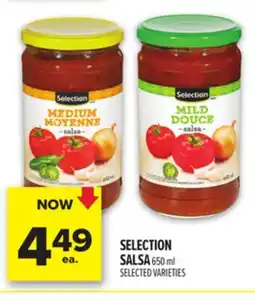 Metro SELECTION SALSA offer