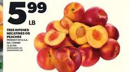 Loblaws TREE RIPENED NECATINES OR PEACHES offer